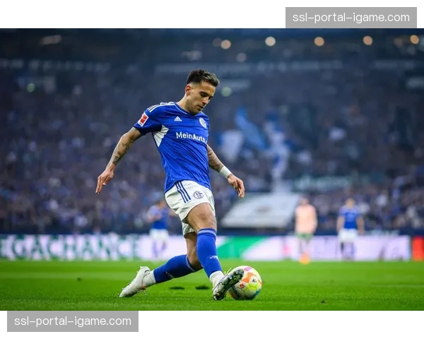 沙尔克04四名球员感染流感，出战成疑